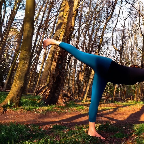 Yoga & Forest Bathing Brighton - Yoga Pose